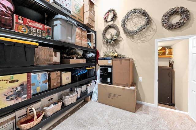 203 Gaillardia Ct, Pinehurst, TX 77362 - view of storage room