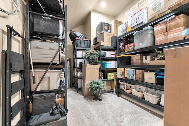 203 Gaillardia Ct, Pinehurst, TX 77362 - view of storage