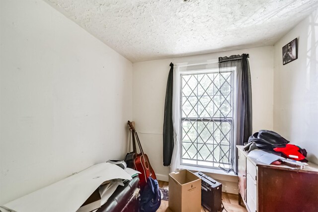 miscellaneous room featuring a wealth of natural light and a textured ceiling