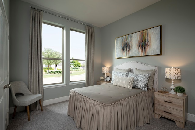 bedroom with carpet floors