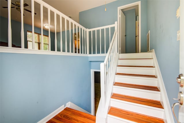 staircase featuring wood-type flooring and ceiling fan