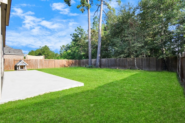 view of yard with a patio