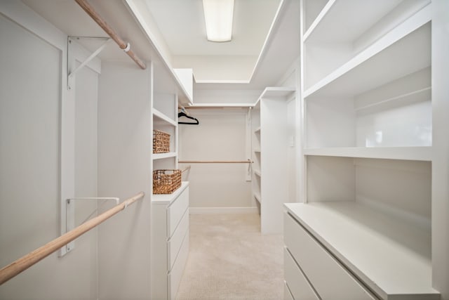 spacious closet with light colored carpet