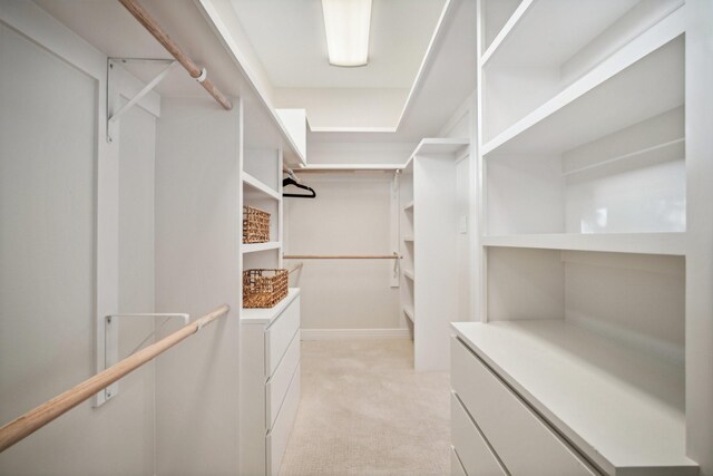 spacious closet with light carpet