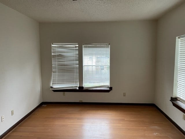 unfurnished room with a textured ceiling, light hardwood / wood-style flooring, and a healthy amount of sunlight