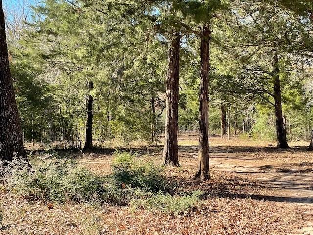 00 Fcr 421, Buffalo, TX 75831