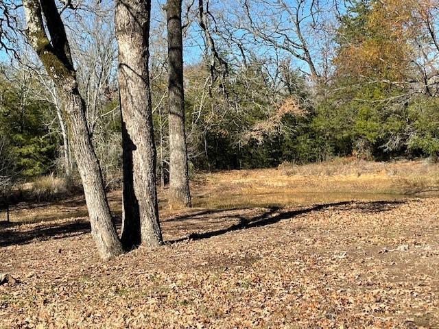 00 Fcr 421, Buffalo, TX 75831
