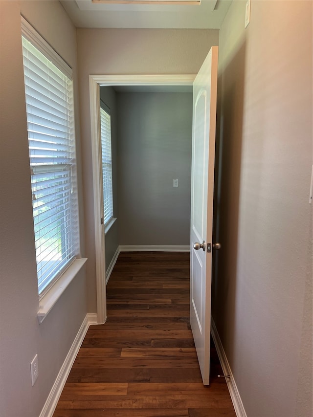 corridor featuring dark hardwood / wood-style flooring