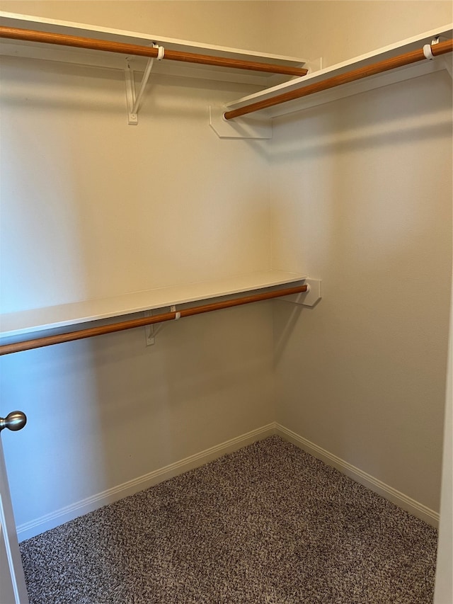 spacious closet with carpet flooring