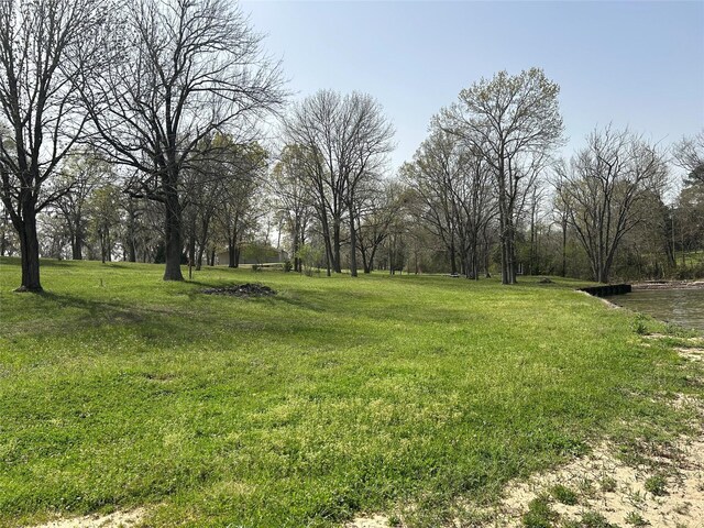 TBD Tigerville Rd, Livingston, TX 77351