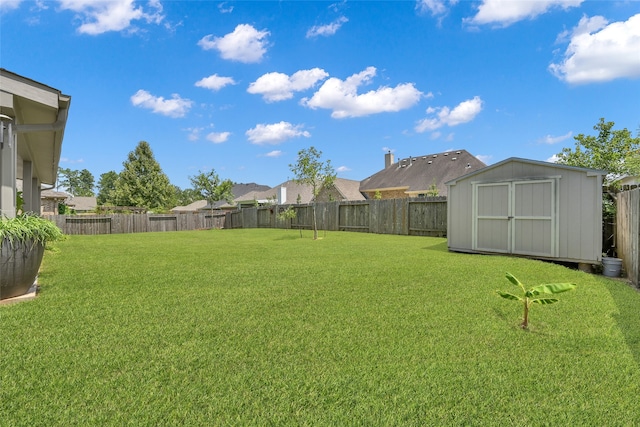 view of yard featuring a shed