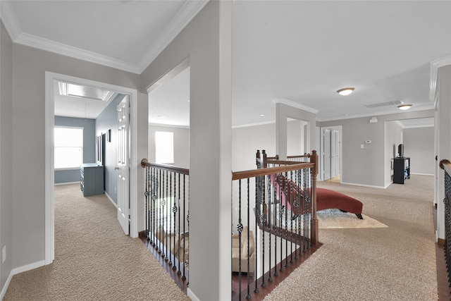 hallway featuring carpet and ornamental molding