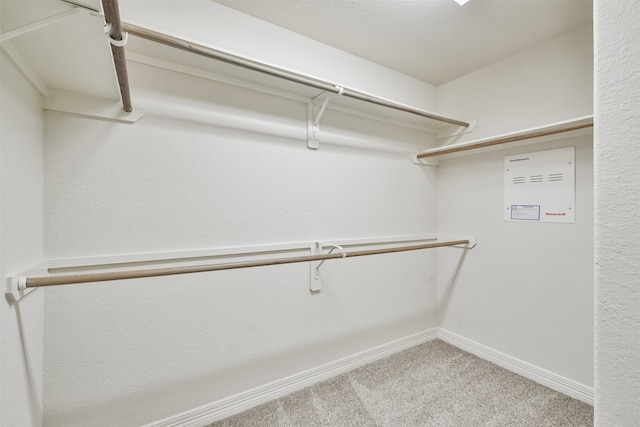 spacious closet with carpet floors