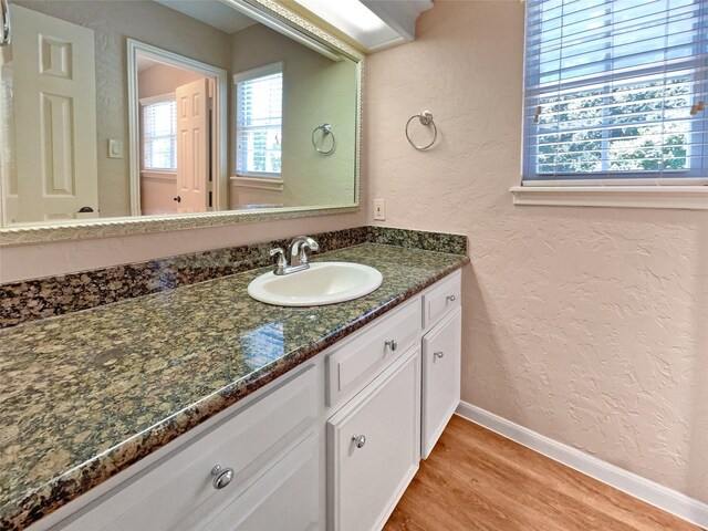 bathroom featuring vanity and wood-type flooring