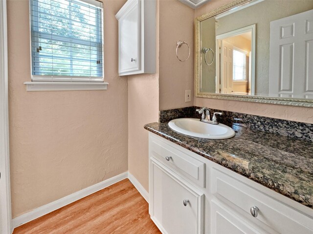 bathroom with vanity, a wealth of natural light, and hardwood / wood-style flooring