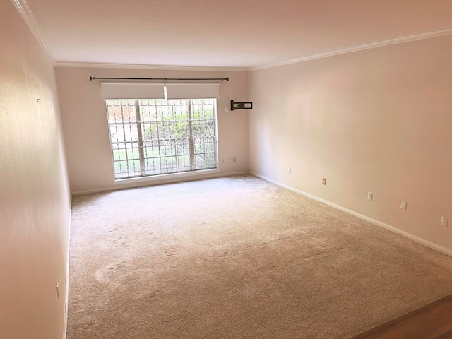 unfurnished room featuring light colored carpet and crown molding