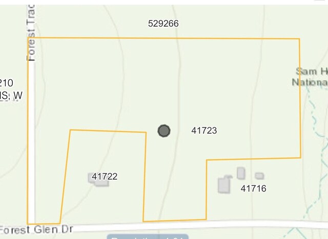 TBD Forest Glen Dr, Richards, TX 77873 - photo 6