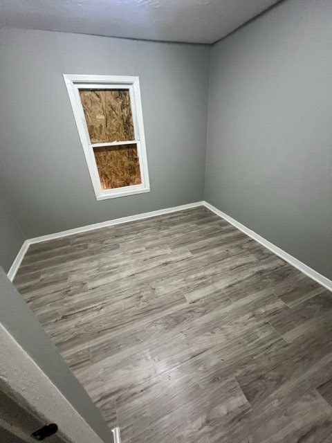 spare room featuring wood-type flooring