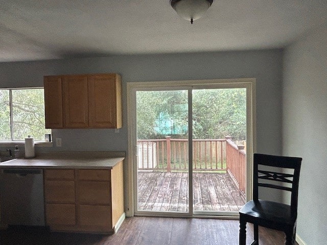 kitchen with dishwasher, plenty of natural light, and light hardwood / wood-style flooring