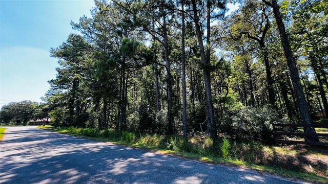 23717 Pinewood Valley Dr, Hockley, TX 77447 - photo 6