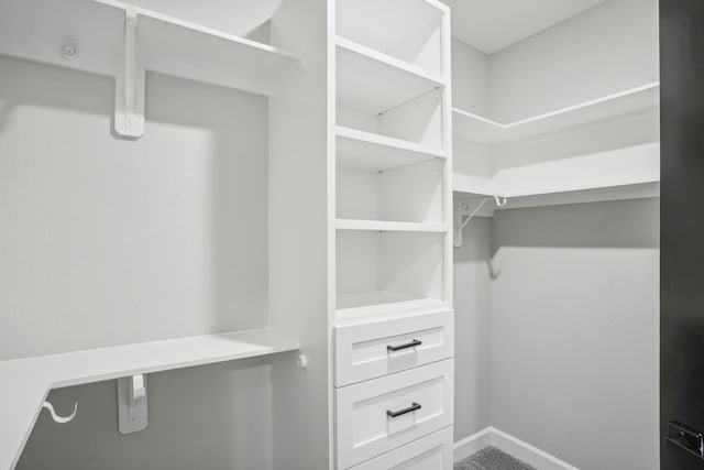 view of walk in closet