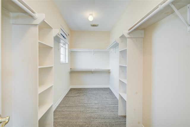 spacious closet with carpet flooring