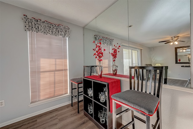 dining space with ceiling fan and hardwood / wood-style flooring