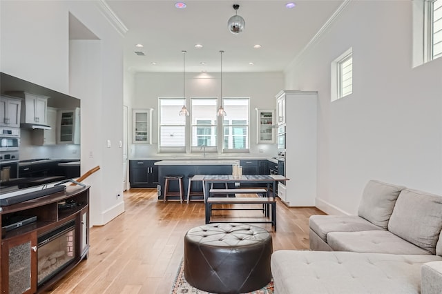 living room featuring light hardwood / wood-style floors, sink, crown molding, and plenty of natural light