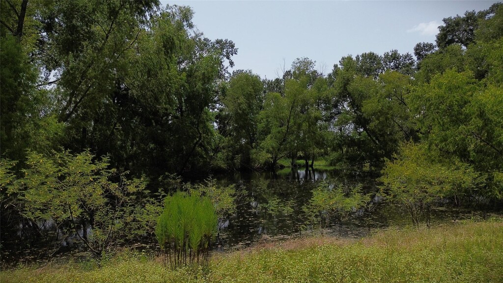 0000 Bailey Grove Rd, Montgomery, TX 77356 - photo 3