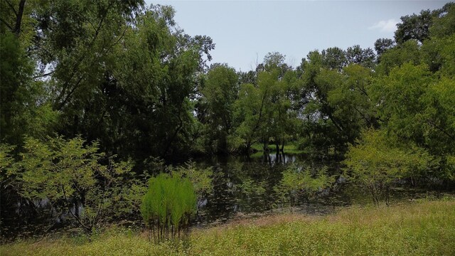 0000 Bailey Grove Rd, Montgomery, TX 77356 - photo 3