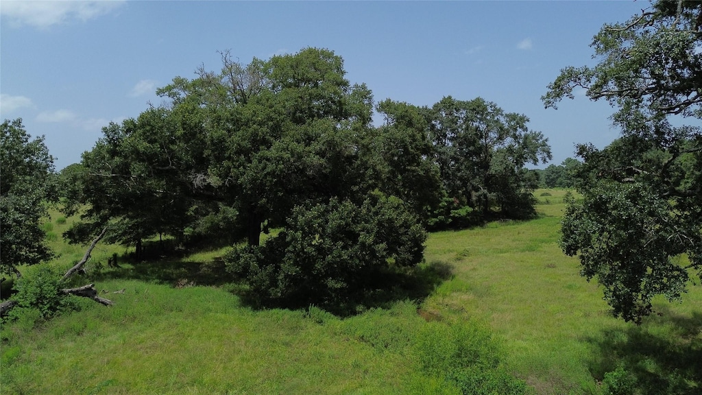0000 Bailey Grove Rd, Montgomery, TX 77356 - photo 1