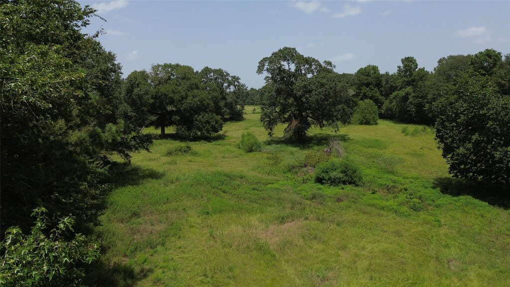 0000 Bailey Grove Rd, Montgomery, TX 77356 - photo 4