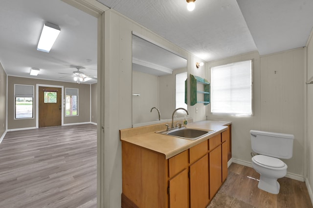 kitchen with sink, light hardwood / wood-style flooring, and ceiling fan