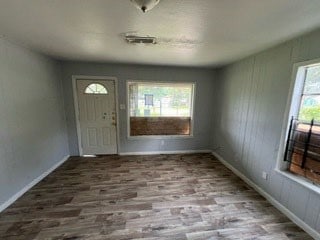 entryway featuring wood-type flooring