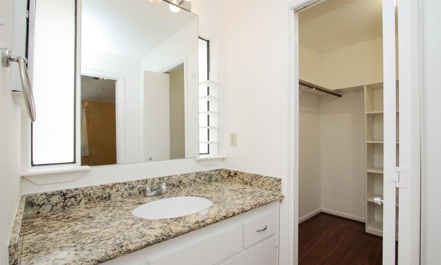 bathroom with wood-type flooring and vanity