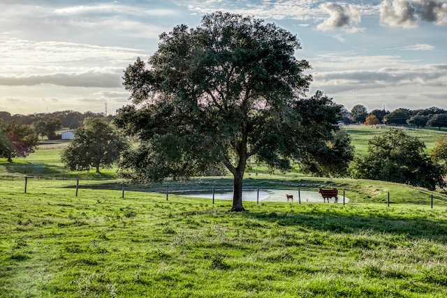 view of home's community with a water view, a yard, and a rural view