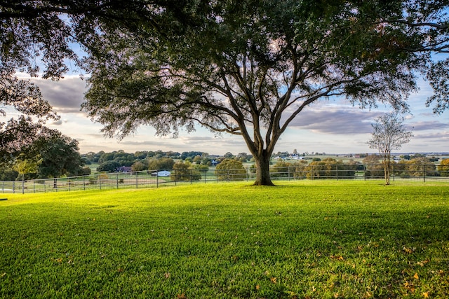 view of yard featuring a rural view