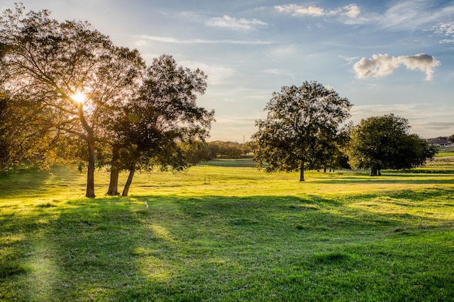 view of yard with a rural view