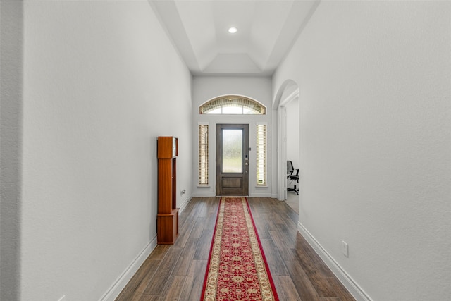 doorway to outside featuring a high ceiling, dark hardwood / wood-style floors, and a tray ceiling