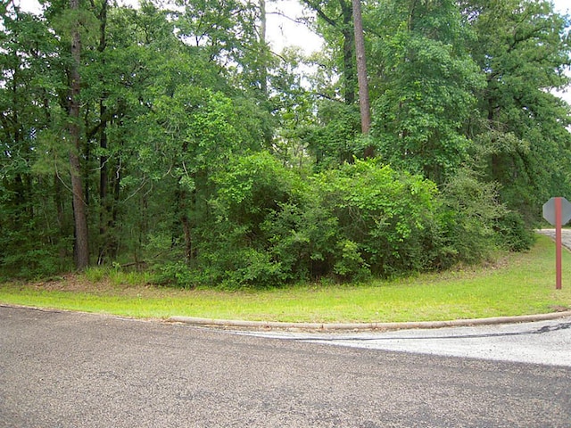 28600/28604 Fir Ct, Huntsville TX, 77320 land for sale