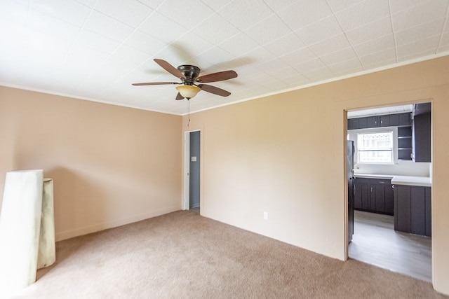 carpeted spare room featuring ceiling fan and ornamental molding