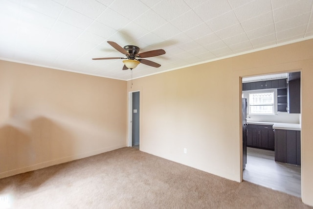 unfurnished room with ceiling fan, light carpet, and ornamental molding