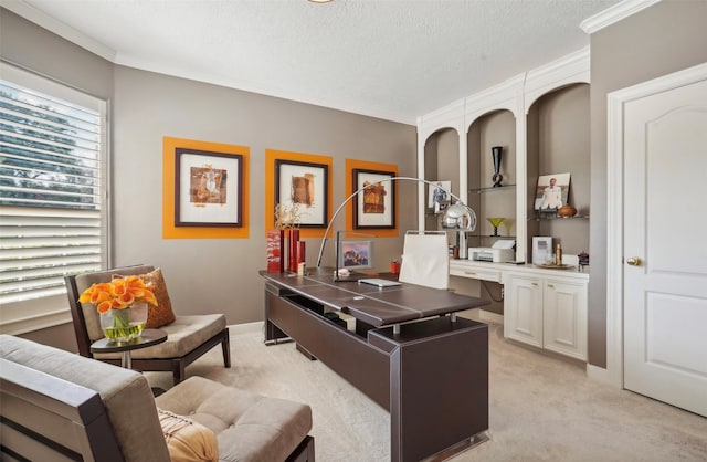 carpeted office space with crown molding and a textured ceiling