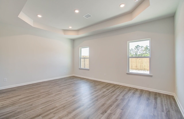 spare room with plenty of natural light, a tray ceiling, and light hardwood / wood-style flooring