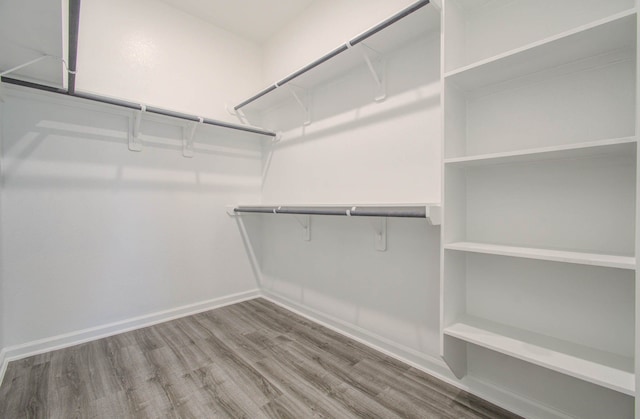 spacious closet with wood-type flooring