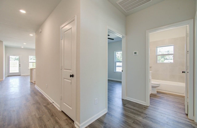 corridor featuring dark wood-type flooring and a wealth of natural light