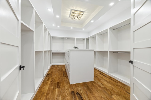 spacious closet with dark hardwood / wood-style flooring and a raised ceiling