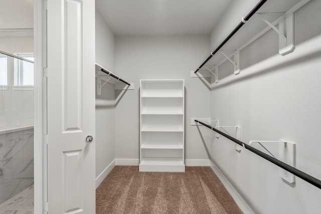 walk in closet with light carpet