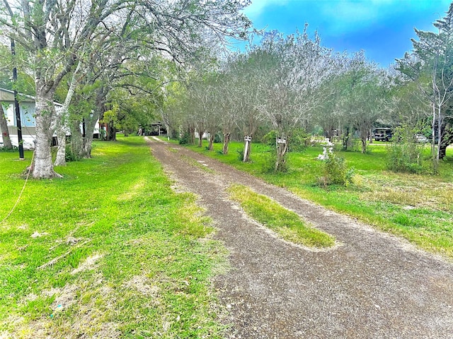 Listing photo 2 for 8406 Noble St, Needville TX 77461