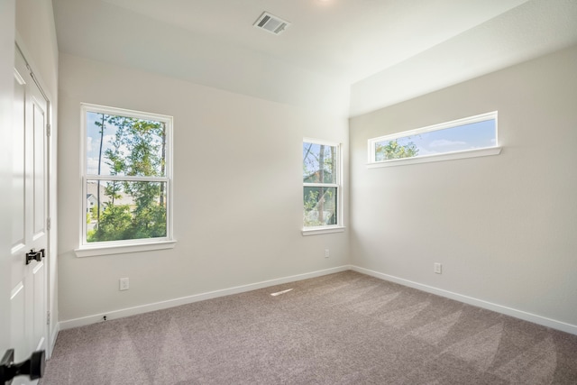 carpeted empty room featuring a wealth of natural light